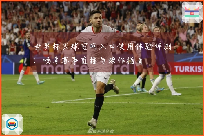 世界杯买球官网入口使用体验评测：畅享赛事直播与操作指南