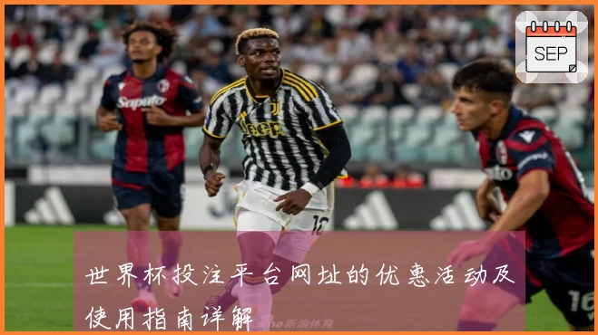 世界杯投注平台网址的优惠活动及使用指南详解
