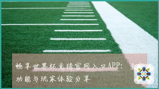 畅享世界杯竞猜官网入口APP：全新功能与玩家体验分享